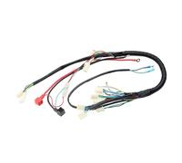Full Complete Electrics Wiring Harness CDI Stators 6 Coils For Motorbike ATV 50cc 70cc 90cc 110cc 125cc Motorbike Accessory