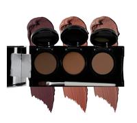 Full Coverage Concealer Palette, Waterproof Concealer Cream, 3 Colors + Brush, by Dermaflage - Concealer Makeup for Mature Skin, Under Eye Concealer for Dark Circles