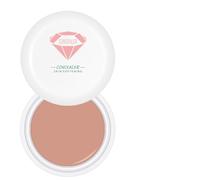 Full Coverage Under Eye Brightener And Concealer, Longwear Water-resistant Hydrating Full Coverage Concealer For Dark Circles Hides Scars And Spots, Ultra Blendable Formula, 15g