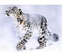 Full Drill DIY 5D Diamond Painting Kits for Adults, Diamond Art Kit for Kids, Walking Snow Leopard (12x16in) Diamond Painting by Numbers Kit Rhinestone Embroidery Crafts for Home Wall Decor 30x40cm
