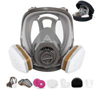 Full Face Respirator Mask with Hard Travel Case for Spraying, Organic Vapor and Dust Mask, Painting Respirator, Work Gas Mask with Organic Vapor Filter