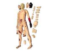 Full-Function Trauma Manikin with Removable Modules for Nursing and Medical Training Education
