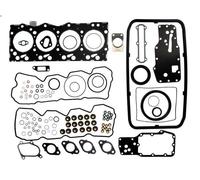 Full gasket set, engine REINZ 1-36410-01 for IVECO EUROFIRE II 3.922 2006-2007