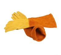 Full Grain Cowhide Leather Gloves Designed for Thorn Protection with Thumb Stitching and Extended Gauntlet for Arm For Safety During Gardening (S)