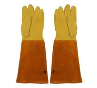 Full Grain Cowhide Leather Gloves Designed for Thorn Protection with Thumb Stitching and Extended Gauntlet for Arm For Safety During Gardening (M)
