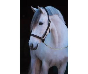 Full leather halter Kerbl eco