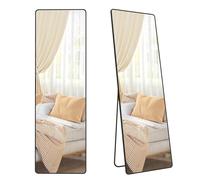 Full Length Mirror 160 x 50 cm Rectangle Full Body Mirror with Stand Aluminium