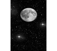 Full Moon Starry Night Notebook