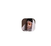 Full Rhinestone Tassel Veils Masquerade Face Mask Crystal Forehead Chain for Wonen Festival Eye Face Chains Jewelry, M, alloy, No Gemstone