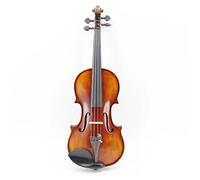 Full Size Violin Set 20 Years Dry Striped Maple 4/4 Handmade Veneer Professional Violin