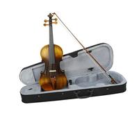 Full Size Violin Set 4/4 Violin Solid Wood Matte Case Bow Accessories Professional String Instrument