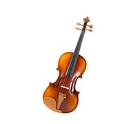 Full Size Violin Set Patterned Hand-made Concert Violin With Jujube Wood Parts And Ebony Fingerboard Full Size(3/4)