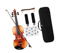 Full Size Violin Set Patterned Violin Solid Wood Hand-painted 4/4 Professional Performance Case