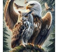 Full Square Round Diamond Mosaic Owl Animal Painting Bird DIY Diamond Embroidery Eagle Handmade Hobby 30 * 30cm