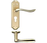 Fulton and Bray Lincoln Door Handle on Backplate - Euro - Satin Brass/Polished Brass
