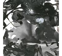 Fumio Itabashi / Henrik Schwarz / Kuniyuki - Watarase