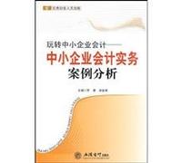 Fun accounting for SMEs: small and medium accounting practices case studies(Chinese Edition)