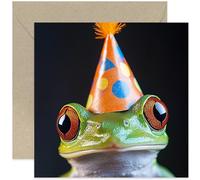 Fun Birthday Cards for Him or Her - Funny Close Up Frog Party Hat Photo Greeting Card for Friends and Family - Gifts for Them - Art Photography Birthday Card - Friend Colleague