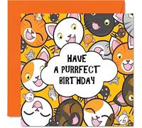 Fun Birthday Cards for Men & Women, Crazy Cats