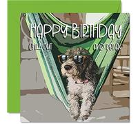 Fun Birthday Cards for Men Women - Chill Cool Dog - Happy Birthday Card for Work Colleague Friend Brother Sister Mum Dad Son Daughter Nan Grandad, 145mm Bday Greeting Cards