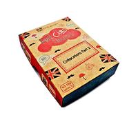 Fun Card English Collocations Part 2 [KSIĄŻKA]