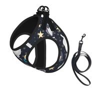 Fun Cat Astronaut Print Harness Leash Set For Cats And Dogs, Reflective Adjustable, Soft Breathable Mesh Vest With Escape-Proof Lead, For Small Pets And Kitten Puppies