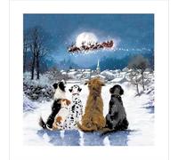 Fun Christmas Card Dogs Santa Paws is Coming Sleigh - Luxury Festive Xmas Card