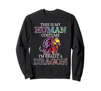 Fun Dragons Humor This Is My Human Costume Halloween Dragon Sweatshirt