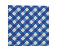 Fun Express 6 1/2" Blue Gingham Disposable Paper Luncheon Napkins - 16 Count