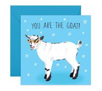 Fun GOAT Birthday Card - Cool Goat with Sunglasses - Greeting Card for Friends, Family, Dad, Mum, Brother, BFF, Bro, Pals, Mate, Coworkers, Colleagues, Men - Appreciation Gift - Comes with Stickers
