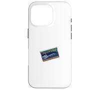 Fun Graphic-Song of the Whale (Ultimate Relaxation) Case for iPhone 16 Pro