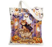 Fun Halloween Abyssinian Cat Canvas Tote Bag for Shopping 13 * 15 Inch, Scary Kitten Ghost Reusable Grocery Bag for Women, Horror Pumpkin Aesthetic Pattern Gift Decor
