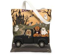 Fun Halloween Chow Chow Dog Canvas Tote Bag for Shopping 13 * 15, Spooky Haunted House Truck Reusable Grocery Bag for Women, Scary Aesthetic Painting Gift Decor