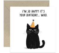 Fun Happy Birthday Cards - Unimpressed Cat Birthday Gift for Men and Women - Hilarious Greeting Card for Birthday of Friends and Family - Make Them Smile and Laugh - Brother Sister