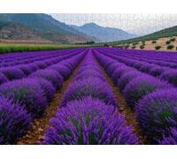 Fun Jigsaw Puzzle 500 Pieces for Adults Minimalist Lavender Field Clean Rows Purple Flowers Leading Toward A Puzzles Home Decor Birthday Party for Men Women 20.5 x 15 in
