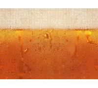 Fun Jigsaw Puzzle for Adults Vintage Butterfly Stained Glass Butterflies Jigsaw Puzzles Retro Animal Challenging Puzzle as Butterfly Decor_500pcs