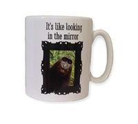 Fun Monkey Gift Mug - It's Like Looking in The Mirror. Funny Animal Gift Mugs for Birthday, Christmas