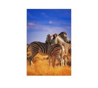 Fun Paper 1000 Piece Jigsaw Puzzle，THREE Zebras Take a Break，Thanksgiving Christmas Birthday Adult Children's Intellectual Learning Toys Men and Women Gift（38x26cm）-AR77