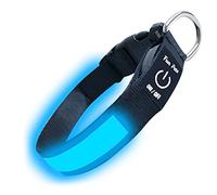 Fun Pets LED Dog Collar in Blue - USB Rechargeable Pet Safety Collar - Great Visibility & Improved Safety (30cm - 39cm / 11.8" - 15.35")