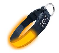 Fun Pets LED Dog Collar in Orange - USB Rechargeable Pet Safety Collar - Great Visibility & Improved Safety (30cm - 40cm / 11.8" - 15.7")