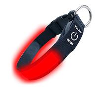 Fun Pets LED Dog Collar in Red - USB Rechargeable Pet Safety Collar - Great Visibility & Improved Safety (40cm - 50cm / 15.7" - 19.7")