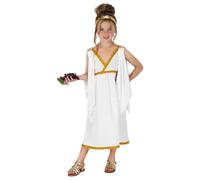 Fun Shack Ancient Greek Costume Girls, Roman Costume Kids, Ancient Greece Costumes Girls Toga, Halloween Costumes for Kids, Large