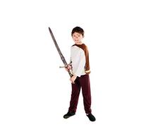 Fun Shack Anglo Saxon Costume Kids, Boys Viking Costume, Viking Anglo Saxon Boy Costumes, Halloween Costumes for Kids, X-Large