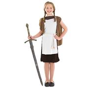 Fun Shack Anglo Saxon Costume Kids, Girls Viking Costume, Viking Costumes Kids, Halloween Costumes for Girls, Medium