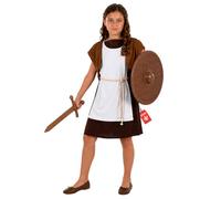 Fun Shack, Anglo Saxon Costume Kids, Halloween Costumes for Kids, L