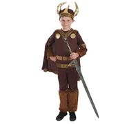 Fun Shack Deluxe Viking Costume Kids, Viking Costume Boys, Halloween Costumes for Kids, Boys Halloween Costumes, Medium