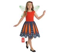 Fun Shack, Fairy Costume Kids, Halloween Costumes for Kids, XL
