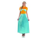 Fun Shack, Medieval Princess Costume, Halloween Costume, XL
