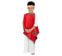 Fun Shack Roman Emperor Costume for Kids - Julius Caesar Toga Outfit for Boys - Roman Themed Dress-Up Costume, Large