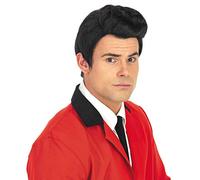 Fun Shack Teddy Boy Wig for Men, 1950s Costume Wig for Parties, Black Hair Wigs for Adults, Retro Style Accessory, One Size